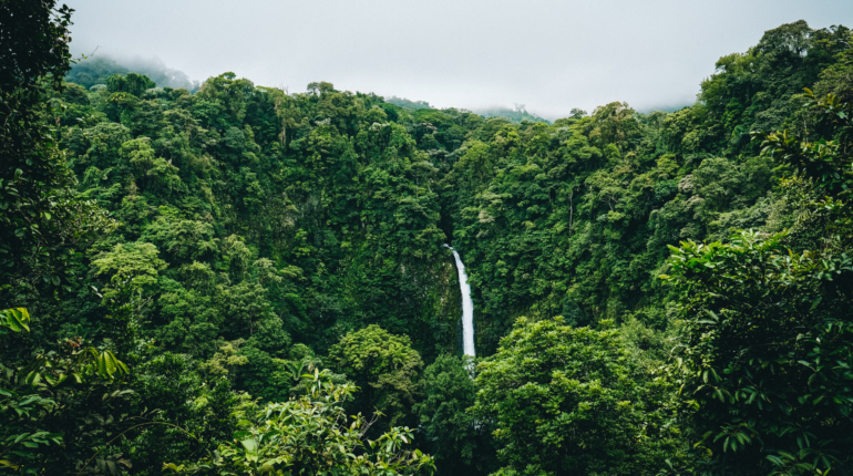 Analysis says most carbon ‘offsets’ by big companies do nothing