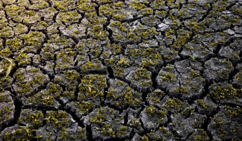 More than half of Brits are worried about the warm summer ahead