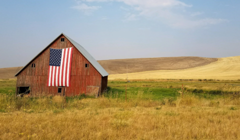 America faces 39 mass shootings in three weeks America faces 39 mass shootings in three weeks