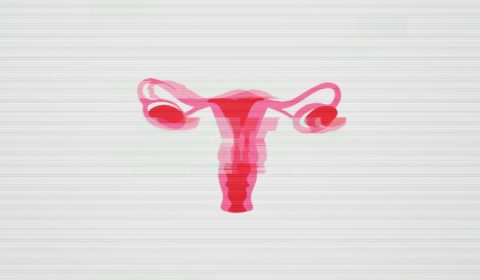 Scientists create ‘vagina on a chip’ to advance sexual health research