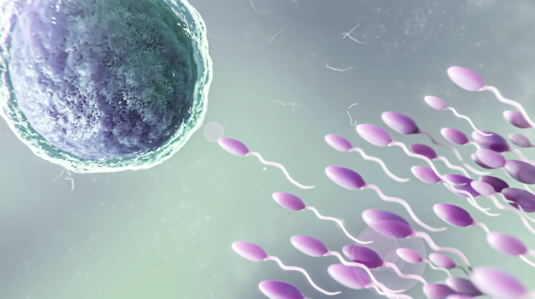 Male contraceptive pill prototype stops sperm swimming
