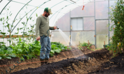 The shocking living conditions of the UK’s migrant farmers