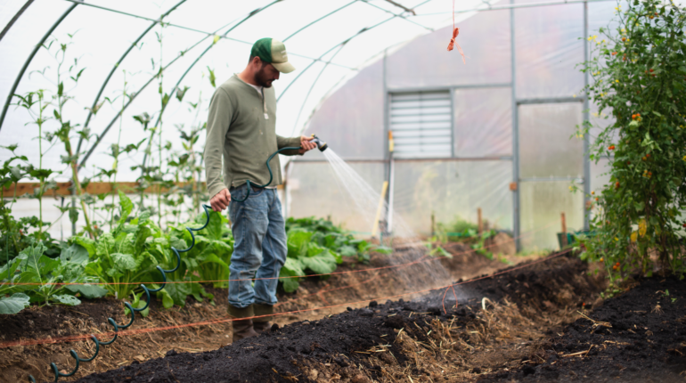 The shocking living conditions of the UK’s migrant farmers