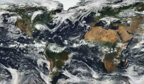 World’s ocean surface temperature hits record high World’s ocean surface temperature hits record high