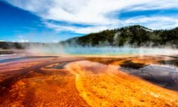 This volcanic microbe could be the next frontier in carbon capture tech