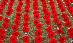 Paper pins to replace traditional Remembrance Day poppies