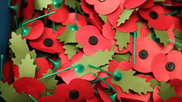 Paper-based poppy replaces plastic for Poppy Appeal 2023 - REB Market  Intelligence