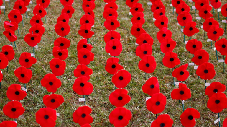 Paper pins to replace traditional Remembrance Day poppies