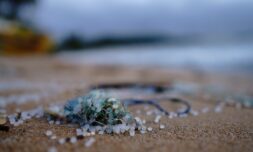 Scientists use sound waves to remove microplastics from waterways