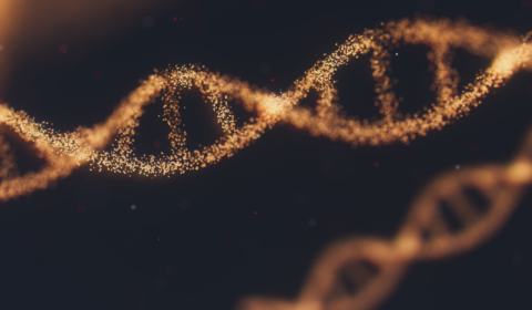 Scientists accomplish most ambitious genetics project to date