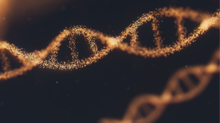 Scientists accomplish most ambitious genetics project to date