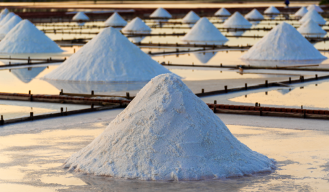 Salted crops can provide cost-effective carbon capture say researchers