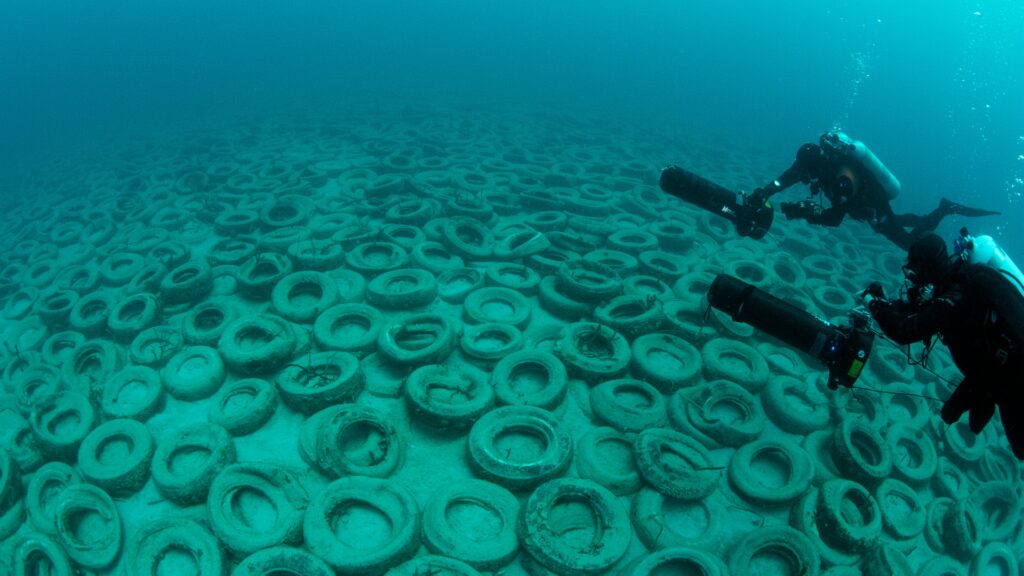 Photo of This company gives new life to old tires stuck in the sea