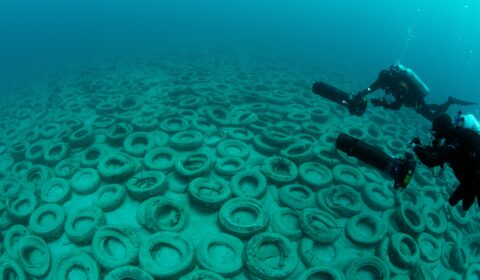 This company gives new life to old tyres fished from the ocean