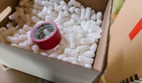 Could mushrooms eventually replace polystyrene?