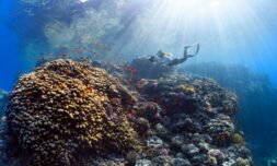 Tracking environmental progress on World Oceans Day