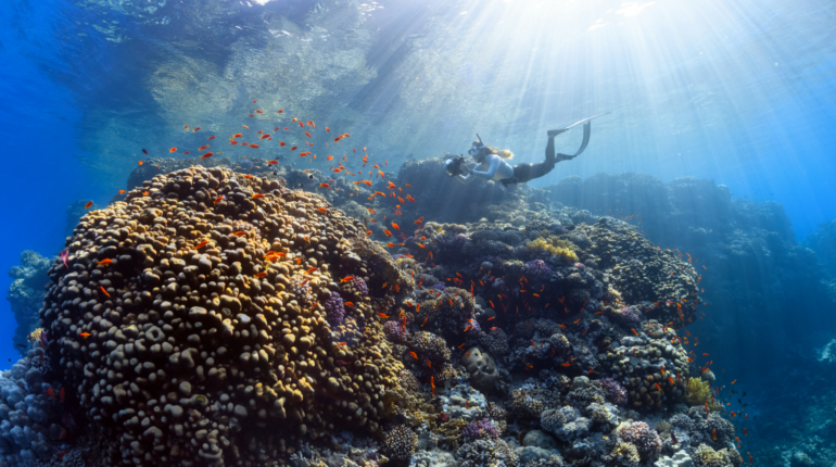 Tracking environmental progress on World Oceans Day