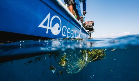 4ocean cleans up record-breaking 30 million pounds of ocean plastic