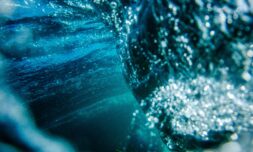 Scientists warn the Gulf Stream shutdown could happen this century