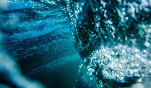 Scientists warn the Gulf Stream shutdown could happen this century