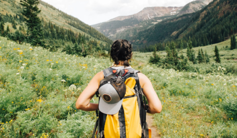 Why the bounce-back of tourism is bittersweet
