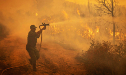 Morocco’s wildfires are destroying its forest cover
