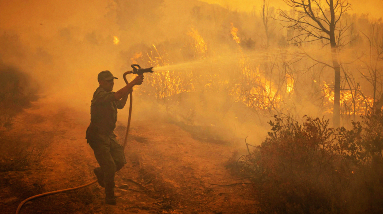 Morocco’s wildfires are destroying its forest cover