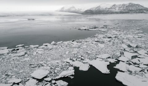 What’s happening to Antarctic sea ice? What’s happening to Antarctic sea ice?