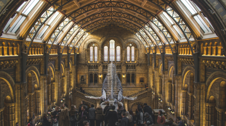 Museums across the UK team up to tackle the climate crisis