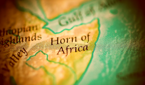 Discussing the Africa Horn’s climate refugee crisis with an expert
