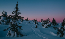 What do Cold Weather Payments mean for Britain’s most vulnerable?