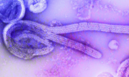 Are we prepared for the next pandemic?