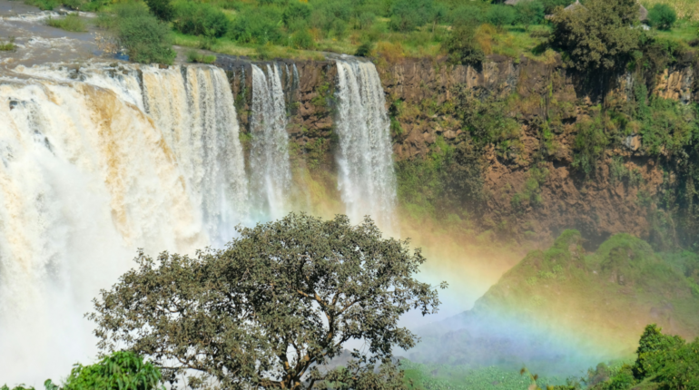 A new ocean is forming in East Africa