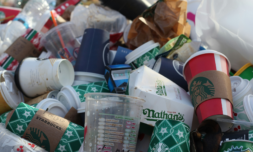 New report shows plastic companies knew recycling would be useless