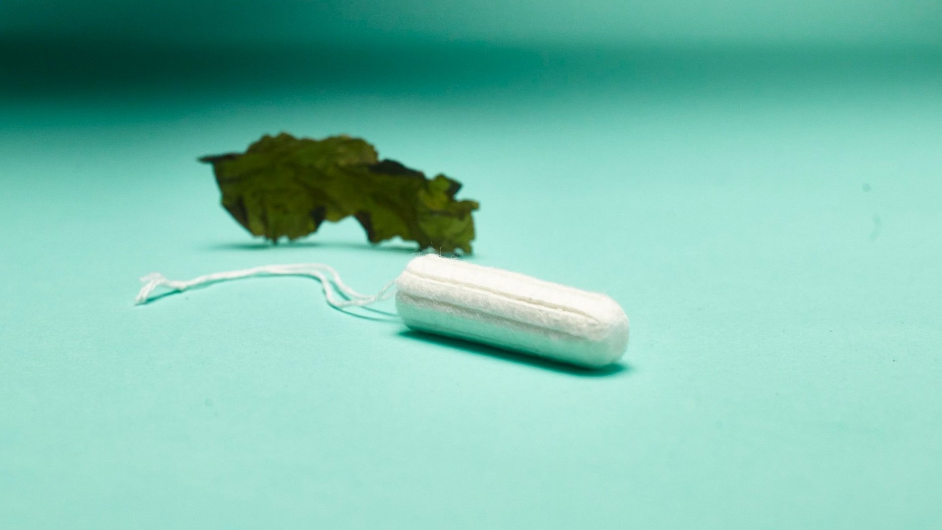 German startup makes biodegradable tampons from seaweed