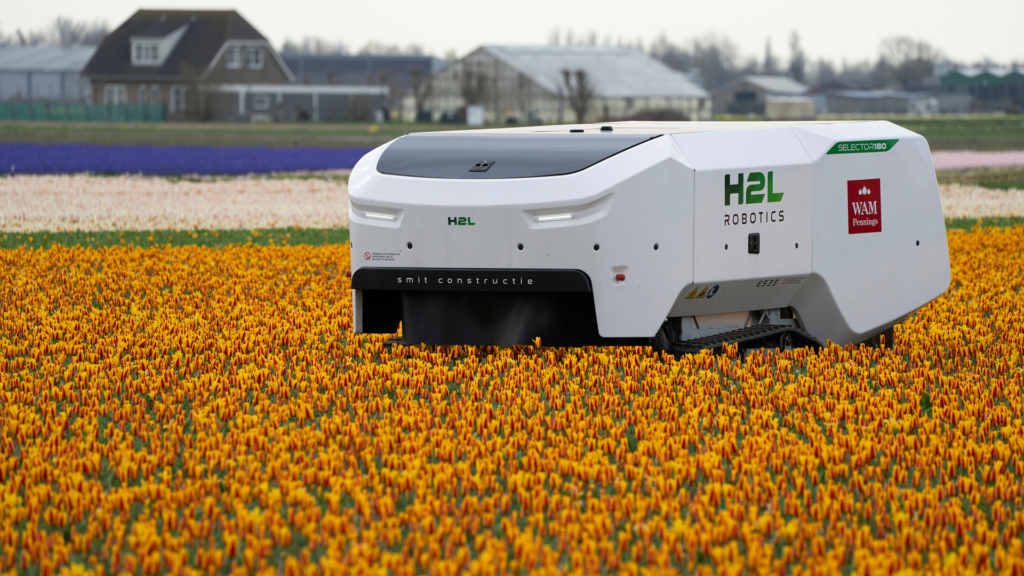 Een AI-robot onderhoudt de Nederlandse tulpenvelden