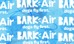 Is Bark Air’s flight service for dogs really necessary?
