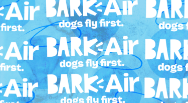 Is Bark Air’s flight service for dogs really necessary?