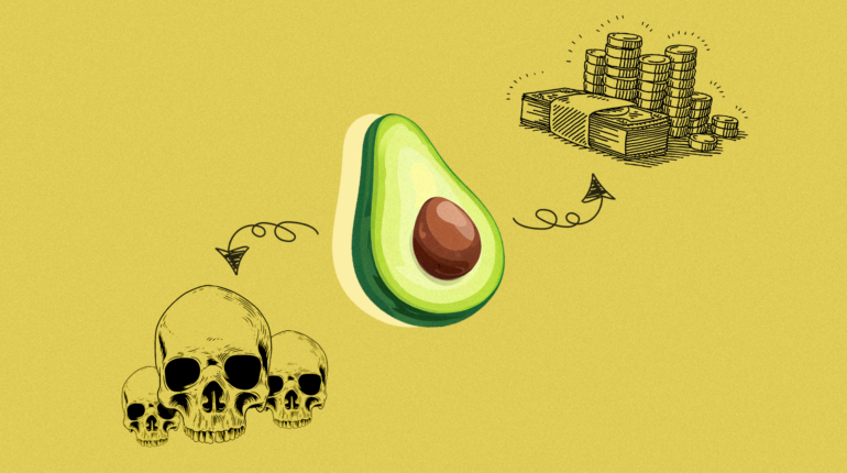 Our avocado obsession is fuelling organised crime