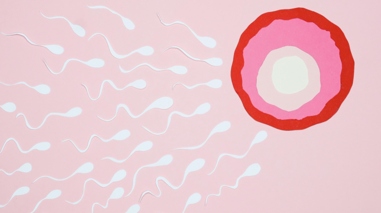 Immunosuppressant drug show promise of prolonging women’s fertility