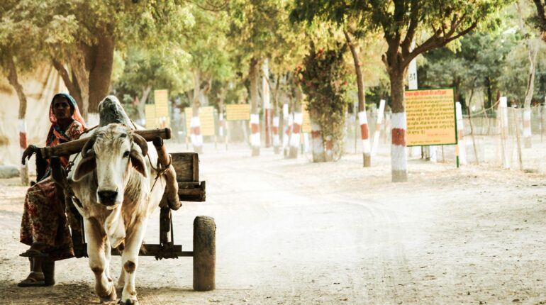 Anxiety grips rural India amid worsening mental health crisis