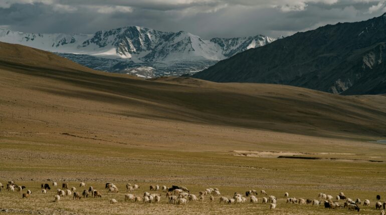 Himalayan food systems are being threatened