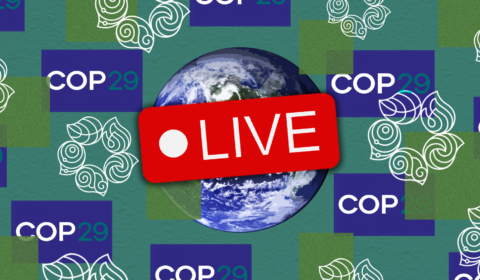 COP29 summit Azerbaijan: live coverage