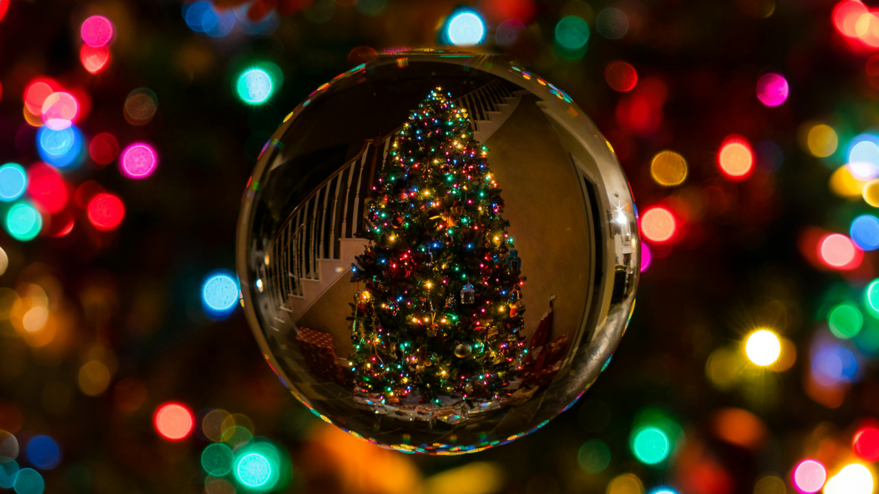 The case for real versus artificial Christmas trees