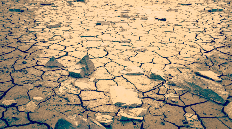 UN says 80% of Earth’s land is drying