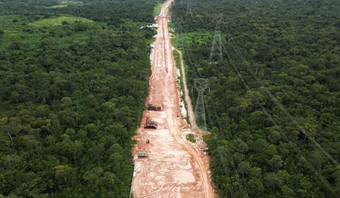 The Amazon is being destroyed for a climate summit