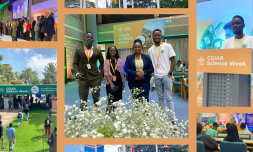 I attended CGIAR Science Week at UN Headquarters in Nairobi