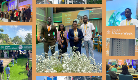 I attended CGIAR Science Week at UN Headquarters in Nairobi
