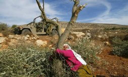 The unholy trinity of apartheid, genocide, and ecocide in Palestine