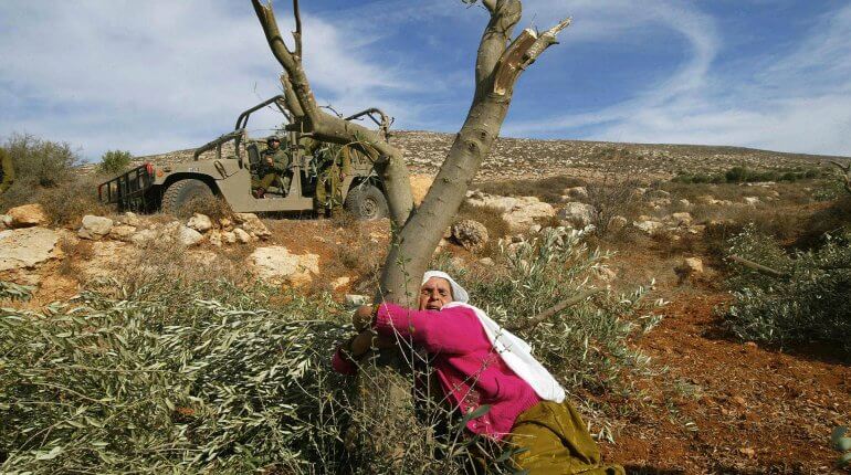 The unholy trinity of apartheid, genocide, and ecocide in Palestine